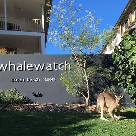 Whale Watch Ocean Beach Resort พอยต์ลุคเอาท์ ภายนอก รูปภาพ