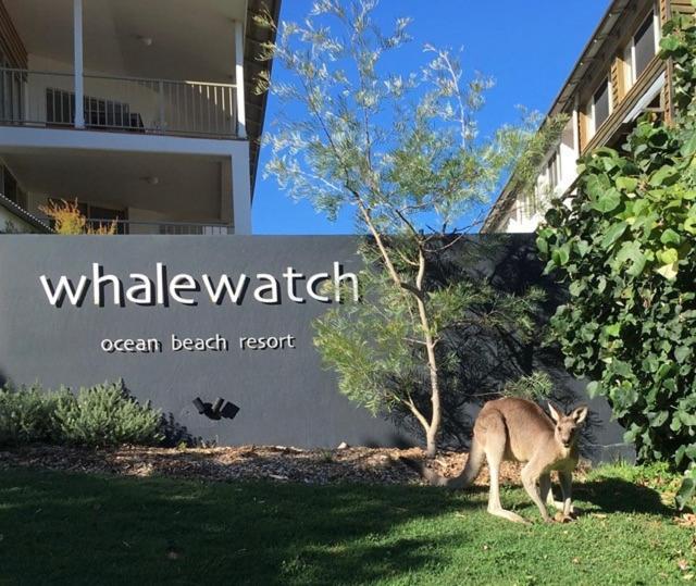 Whale Watch Ocean Beach Resort พอยต์ลุคเอาท์ ภายนอก รูปภาพ